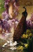Eugene Bidau A Peacock and Doves in a Garden Sweden oil painting artist